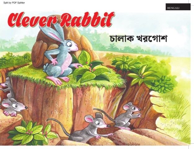 Clever Rabbit